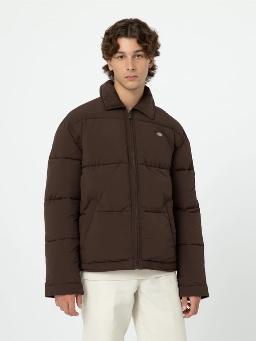 Куртки и дубленки Dickies Overbrook Eisenhower модель DK0A4YEXD711 Фото