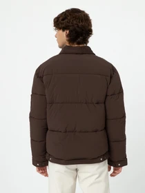 Куртки та дублянки Dickies Overbrook Eisenhower модель DK0A4YEXD711 Фото