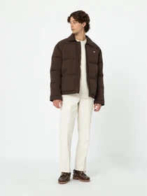 Куртки та дублянки Dickies Overbrook Eisenhower модель DK0A4YEXD711 Фото