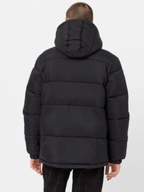 Куртки та дублянки Dickies Glacier модель DK0A4YEYBLK1 Фото
