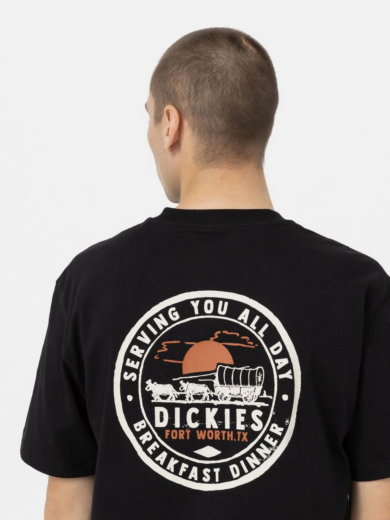 Футболки і поло Dickies GREENSBURG модель DK0A4YFGBLK1 Фото