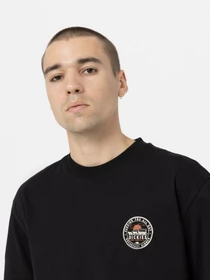 Футболки і поло Dickies GREENSBURG модель DK0A4YFGBLK1 Фото