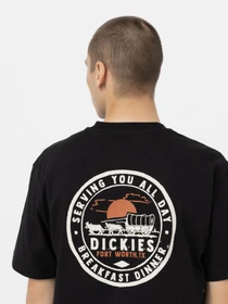 Футболки і поло Dickies GREENSBURG модель DK0A4YFGBLK1 Фото