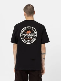 Футболки і поло Dickies GREENSBURG модель DK0A4YFGBLK1 Фото