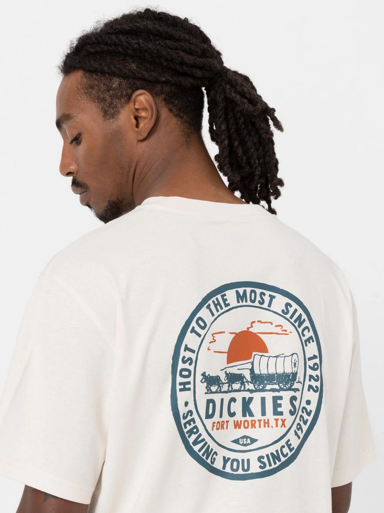 Футболки і поло Dickies GREENSBURG модель DK0A4YFGF901 Фото