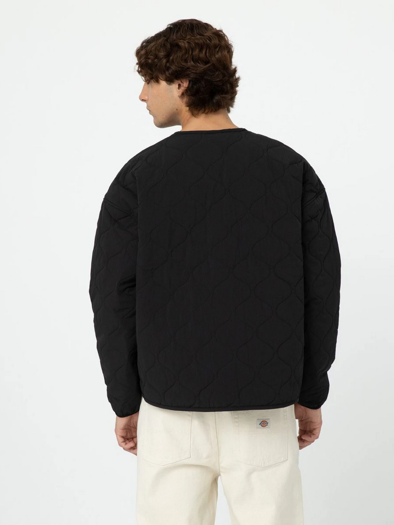 Куртки та дублянки Dickies Thorsby Liner модель DK0A4YG6BLK1 Куртки та дублянки Dickies Thorsby Liner модель DK0A4YG6BLK1 Фото