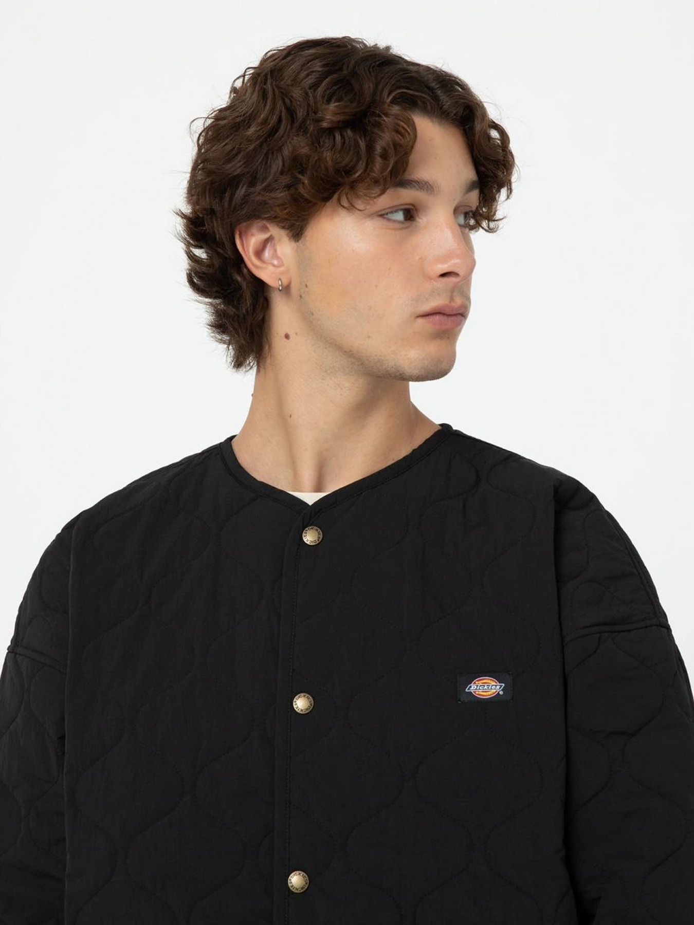 Куртки та дублянки Dickies Thorsby Liner модель DK0A4YG6BLK1 Куртки та дублянки Dickies Thorsby Liner модель DK0A4YG6BLK1 Фото