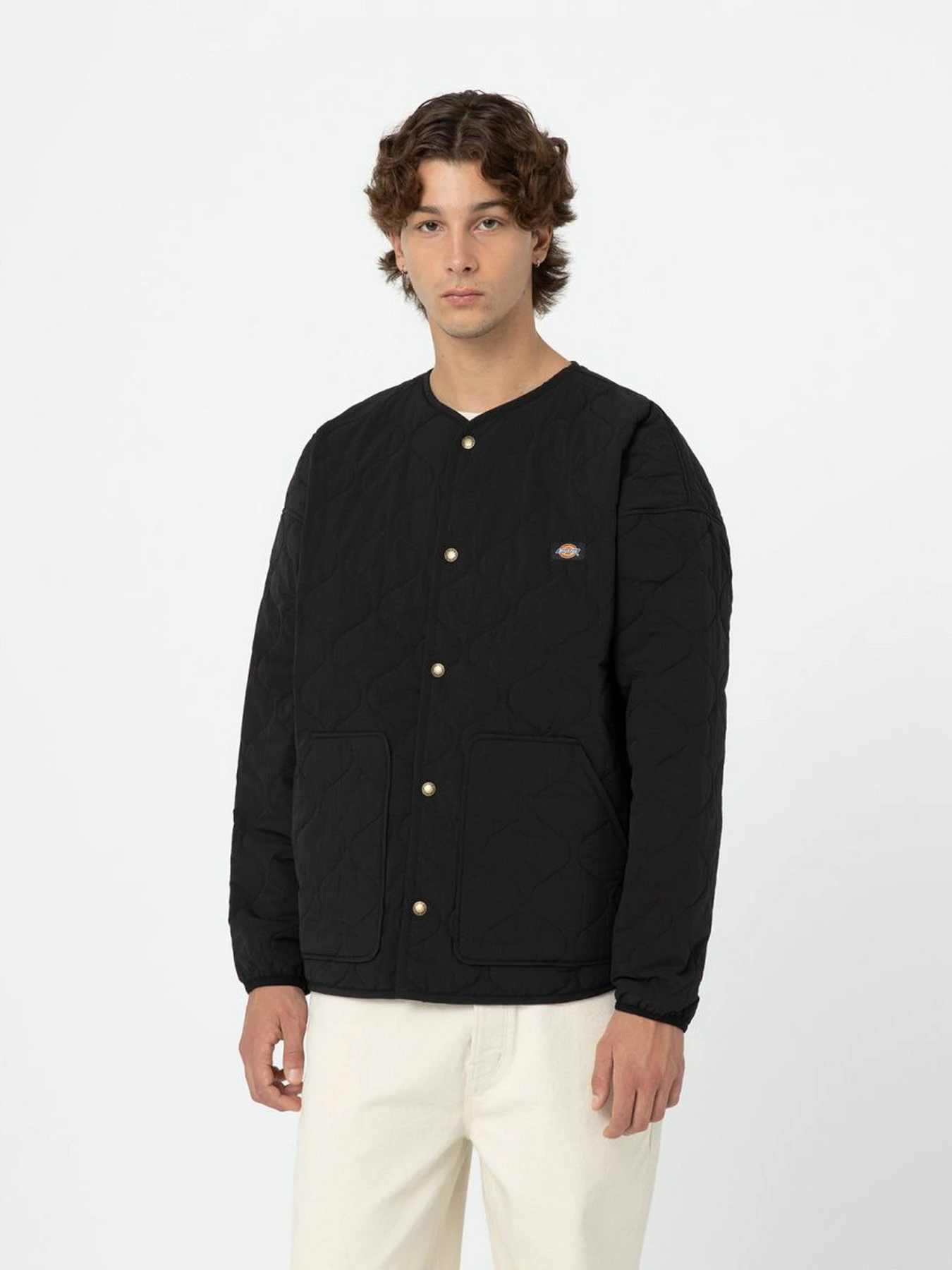 Куртки та дублянки Dickies Thorsby Liner модель DK0A4YG6BLK1 Куртки та дублянки Dickies Thorsby Liner модель DK0A4YG6BLK1 Фото