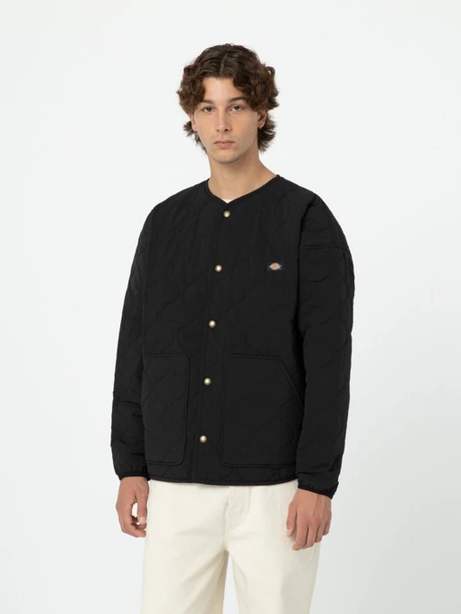 Куртки та дублянки Dickies Thorsby Liner модель DK0A4YG6BLK1 Фото