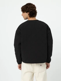 Куртки та дублянки Dickies Thorsby Liner модель DK0A4YG6BLK1 Фото