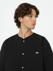 Куртки та дублянки Dickies Thorsby Liner модель DK0A4YG6BLK1 Фото