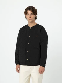 Куртки та дублянки Dickies Thorsby Liner модель DK0A4YG6BLK1 Фото