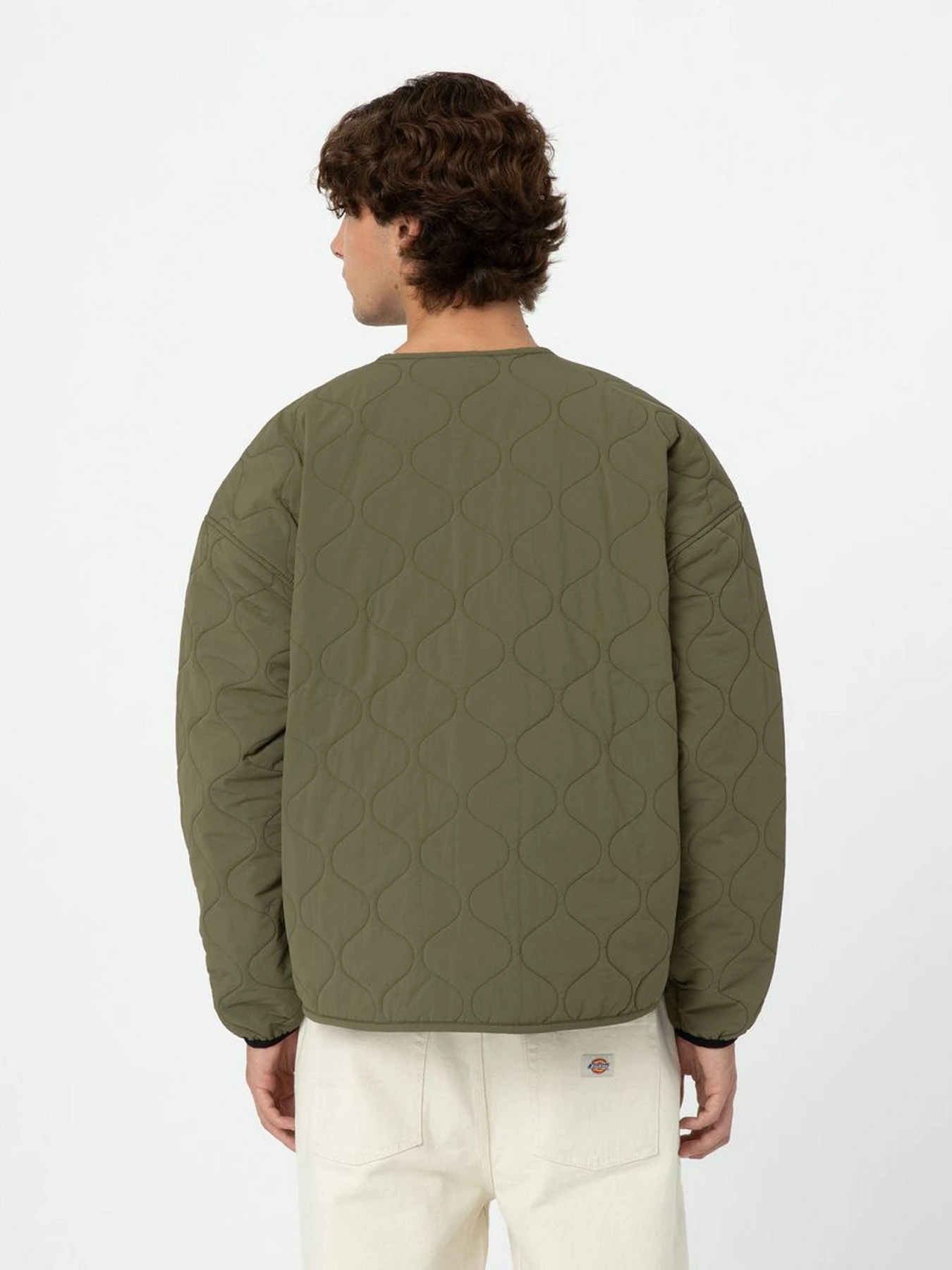 Куртки и дубленки Dickies Thorsby Liner модель DK0A4YG6MGR1 Фото