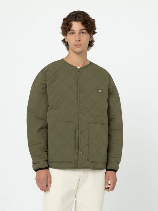 Куртки та дублянки Dickies Thorsby Liner модель DK0A4YG6MGR1 Фото