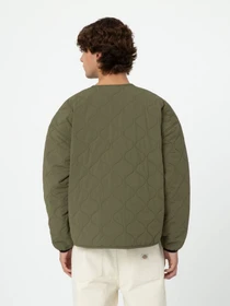 Куртки и дубленки Dickies Thorsby Liner модель DK0A4YG6MGR1 Фото