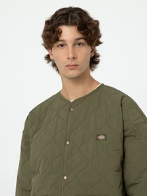 Куртки и дубленки Dickies Thorsby Liner модель DK0A4YG6MGR1 Фото