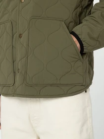 Куртки и дубленки Dickies Thorsby Liner модель DK0A4YG6MGR1 Фото