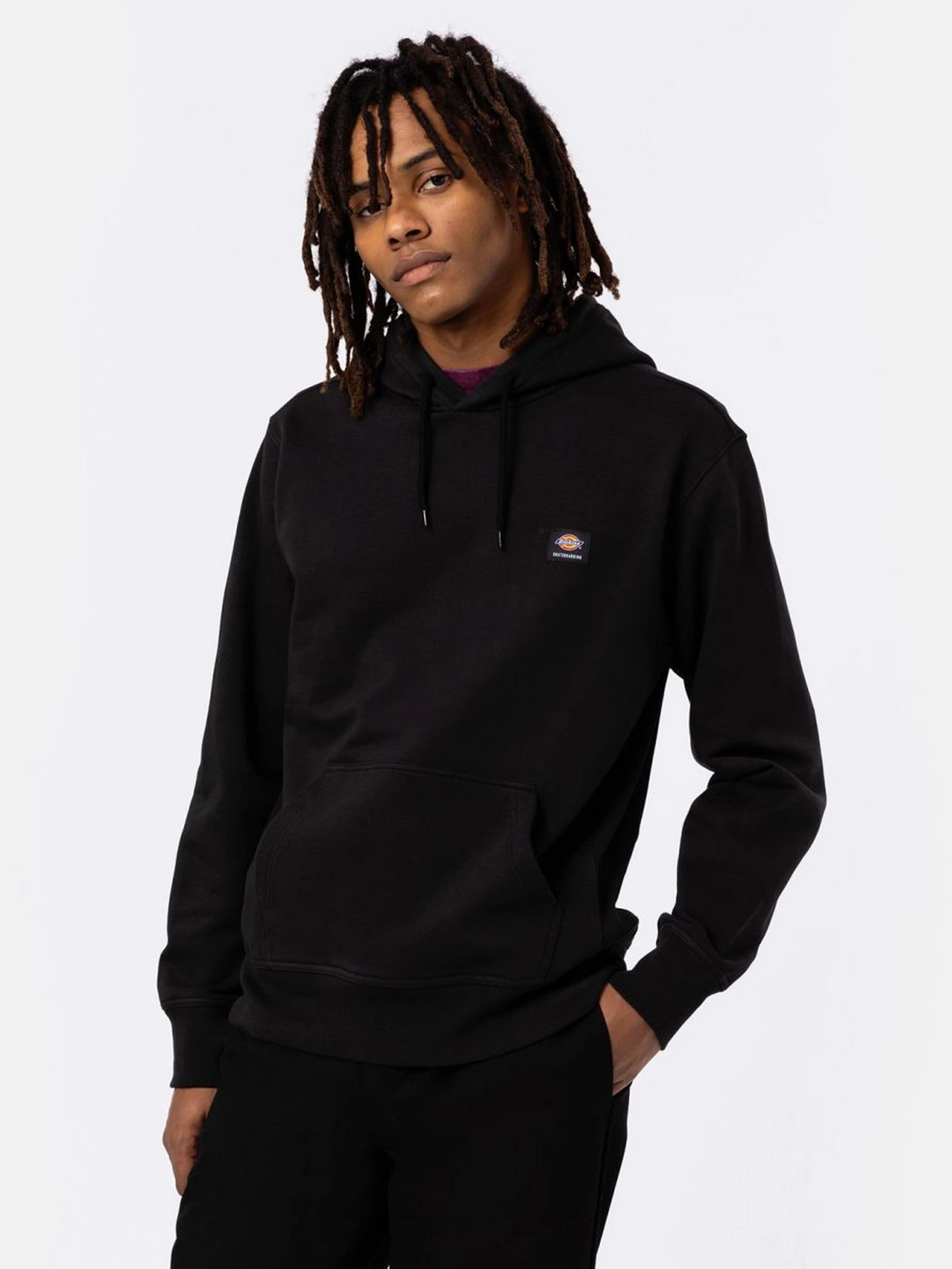 Худі та світшоти Dickies Mount Vista модель DK0A4XYOBLK1 Худі та світшоти Dickies Mount Vista модель DK0A4XYOBLK1 Фото