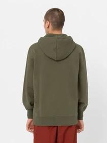 Худі та світшоти Dickies Mount Vista модель DK0A4XYODKO1 Фото