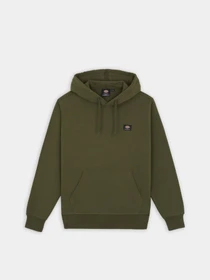 Худі та світшоти Dickies Mount Vista модель DK0A4XYODKO1 Фото