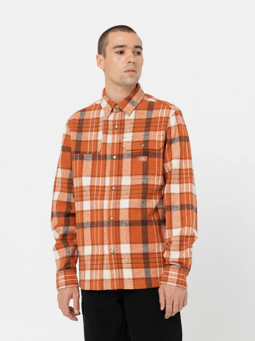 Рубашки Dickies Nimmons Bombay модель DK0A4XGUC051 Фото
