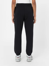 Штани Dickies Mapleton Sweatpant модель DK0A4XIMBLK1 Фото