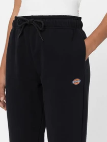 Штани Dickies Mapleton Sweatpant модель DK0A4XIMBLK1 Фото
