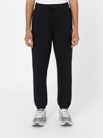 Брюки Dickies Mapleton Sweatpant модель DK0A4XIMBLK1 Фото