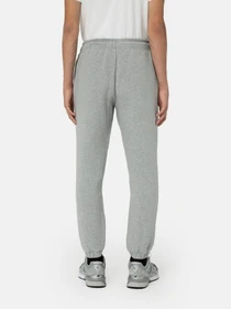 Штани Dickies Mapleton модель DK0A4XIMGYM1 Фото