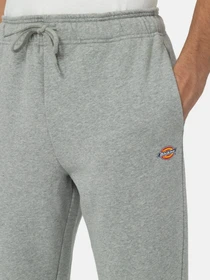 Штани Dickies Mapleton модель DK0A4XIMGYM1 Фото