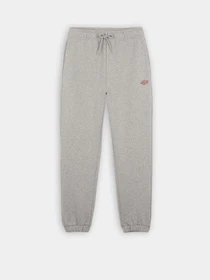 Штани Dickies Mapleton модель DK0A4XIMGYM1 Фото