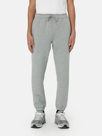 Брюки Dickies Mapleton модель DK0A4XIMGYM1 Фото