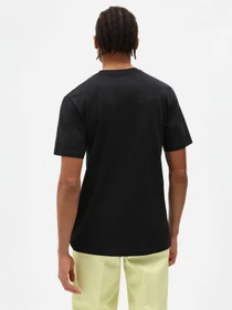 Футболки и поло Dickies SS Mapleton модель DK0A4XDBBLK1 Фото