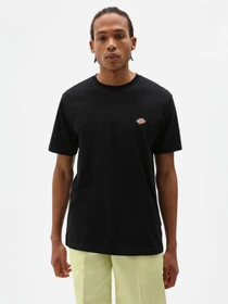 Футболки и поло Dickies SS Mapleton модель DK0A4XDBBLK1 Фото