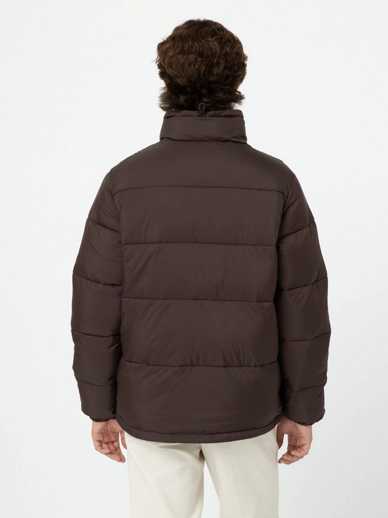 Куртки и дубленки Dickies WALDENBURG модель DK0A4XP2D711 Куртки и дубленки Dickies WALDENBURG модель DK0A4XP2D711 Фото