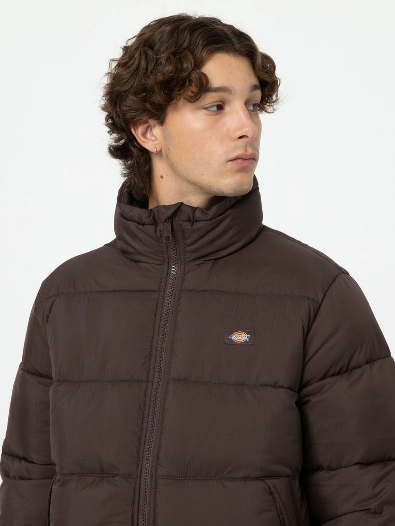 Куртки и дубленки Dickies WALDENBURG модель DK0A4XP2D711 Куртки и дубленки Dickies WALDENBURG модель DK0A4XP2D711 Фото