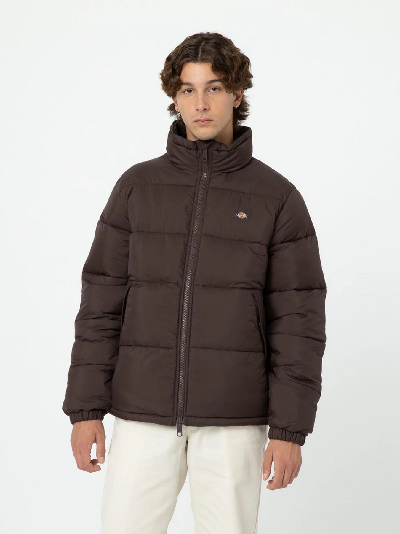 Куртки и дубленки Dickies WALDENBURG модель DK0A4XP2D711 Куртки и дубленки Dickies WALDENBURG модель DK0A4XP2D711 Фото