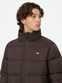 Куртки и дубленки Dickies WALDENBURG модель DK0A4XP2D711 Фото