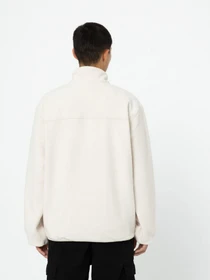 Худи и свитшоты Dickies Louisburg Fleece модель DK0A4YEDF901 Фото