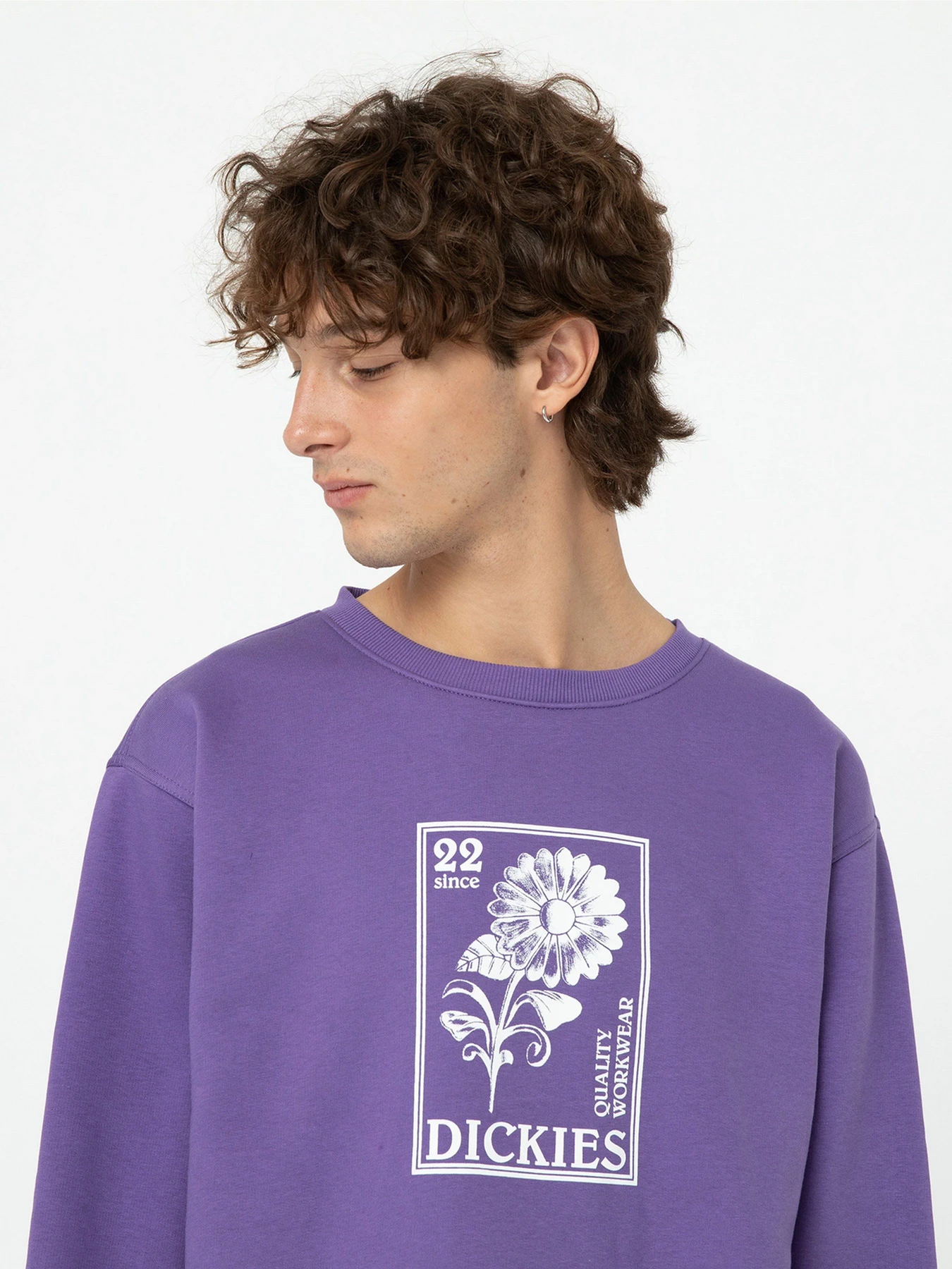 Худи и свитшоты Dickies Garden Plain модель DK0A4YELF931 Худи и свитшоты Dickies Garden Plain модель DK0A4YELF931 Фото