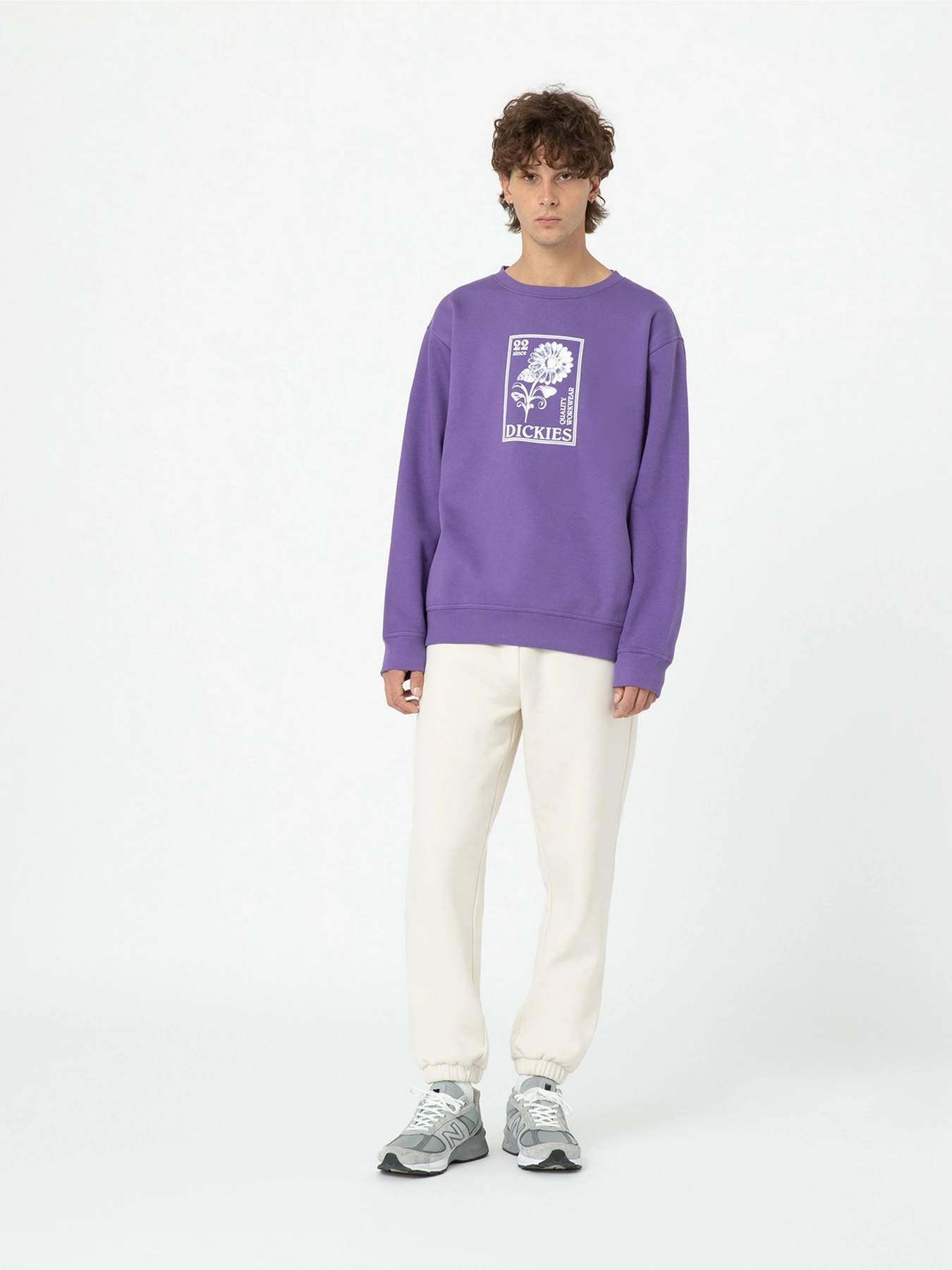 Худи и свитшоты Dickies Garden Plain модель DK0A4YELF931 Худи и свитшоты Dickies Garden Plain модель DK0A4YELF931 Фото
