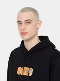 Худі та світшоти Dickies Paxico модель DK0A4YEMBLK1 Фото