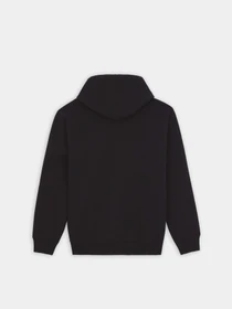 Худі та світшоти Dickies Paxico модель DK0A4YEMBLK1 Фото