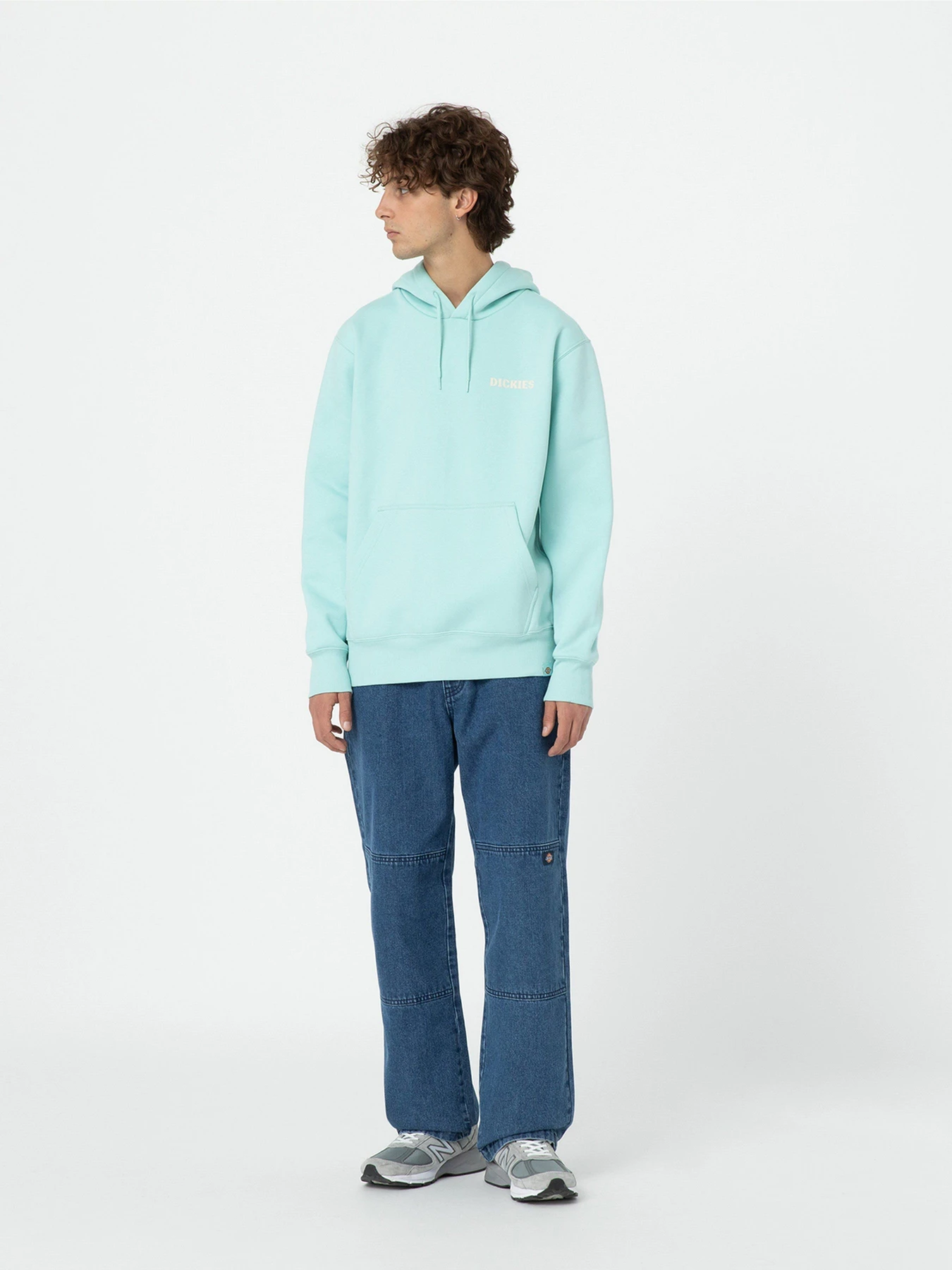 Худи и свитшоты Dickies Hays модель DK0A4YEOG031 Худи и свитшоты Dickies Hays модель DK0A4YEOG031 Фото