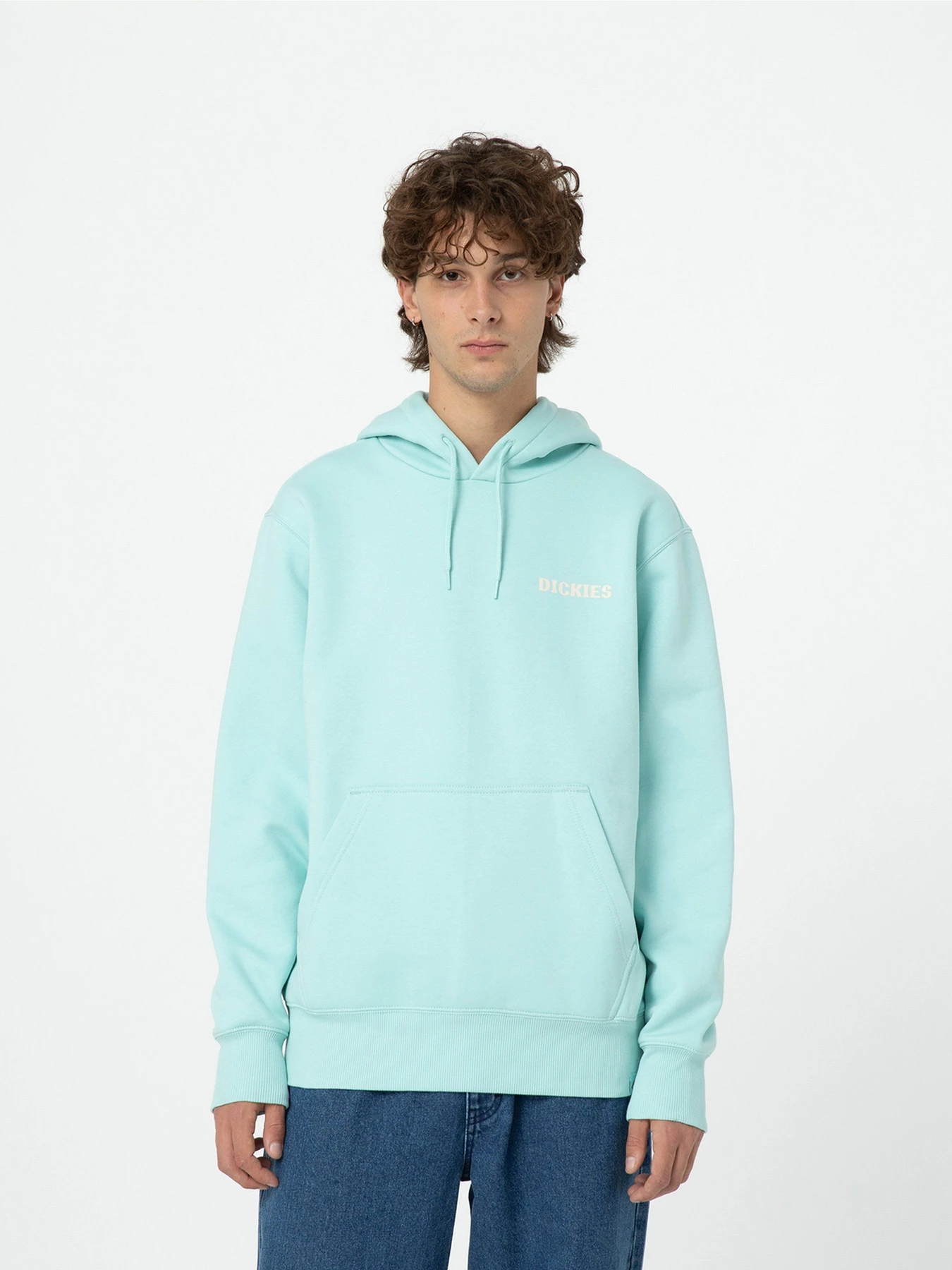 Худи и свитшоты Dickies Hays модель DK0A4YEOG031 Худи и свитшоты Dickies Hays модель DK0A4YEOG031 Фото