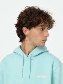 Худи и свитшоты Dickies Hays модель DK0A4YEOG031 Фото