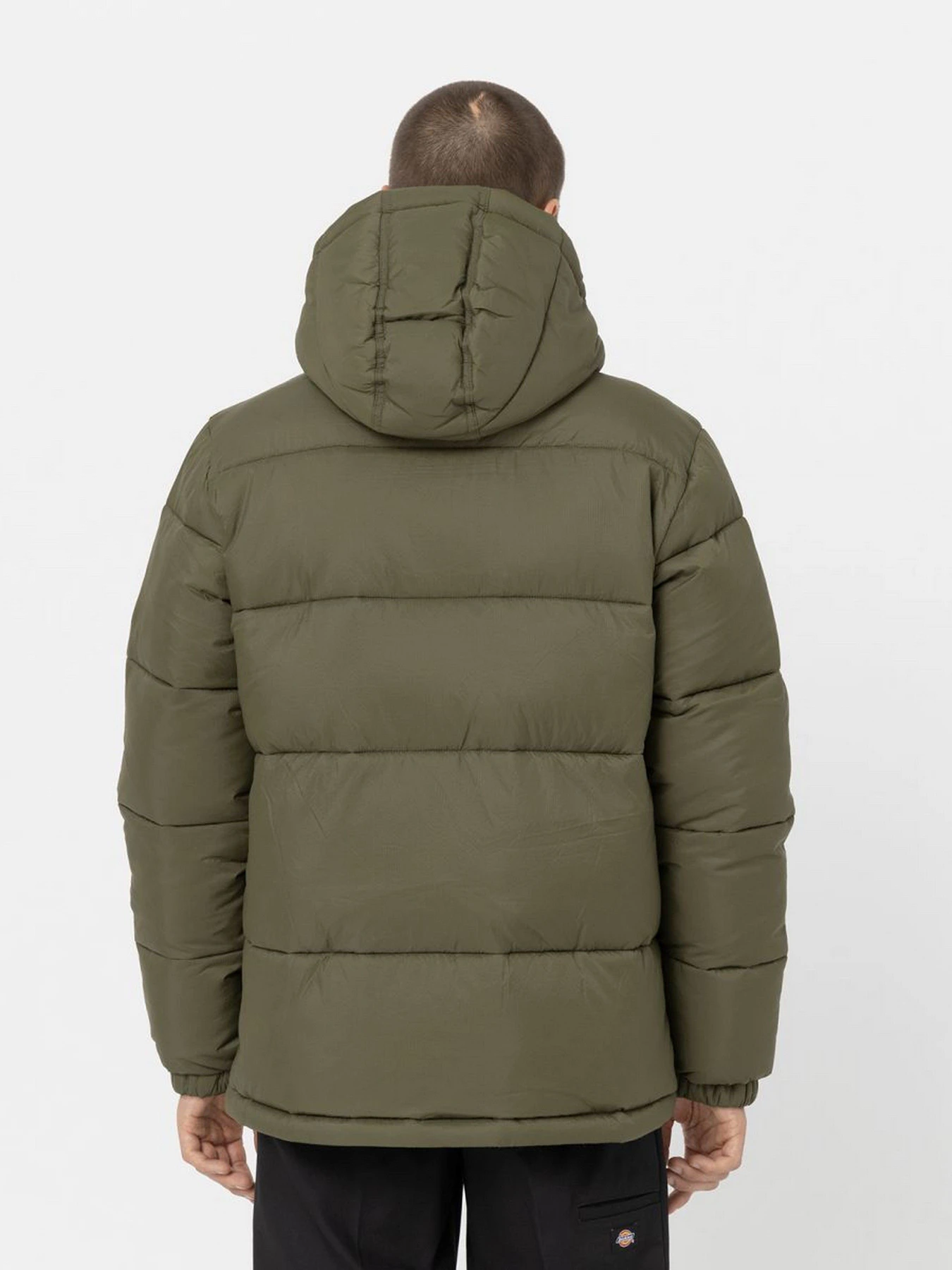 Куртки и дубленки Dickies Glacier модель DK0A4YEYMGR1 Куртки и дубленки Dickies Glacier модель DK0A4YEYMGR1 Фото