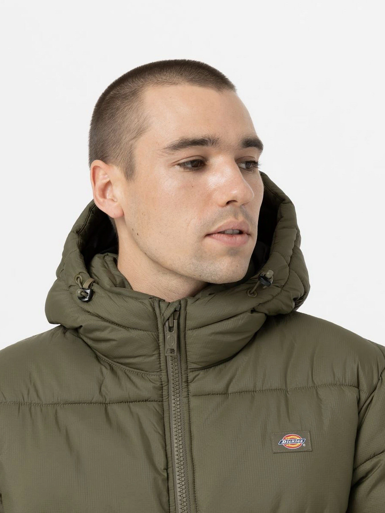 Куртки и дубленки Dickies Glacier модель DK0A4YEYMGR1 Куртки и дубленки Dickies Glacier модель DK0A4YEYMGR1 Фото