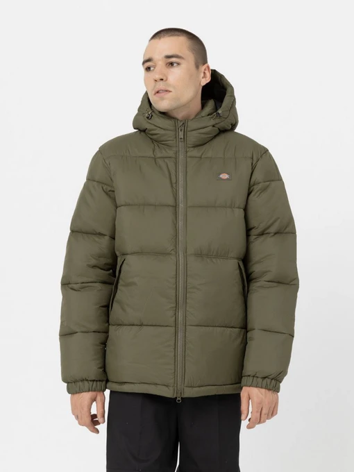 Куртки и дубленки Dickies Glacier модель DK0A4YEYMGR1 Фото