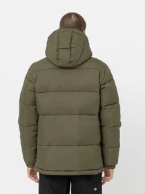 Куртки и дубленки Dickies Glacier модель DK0A4YEYMGR1 Фото